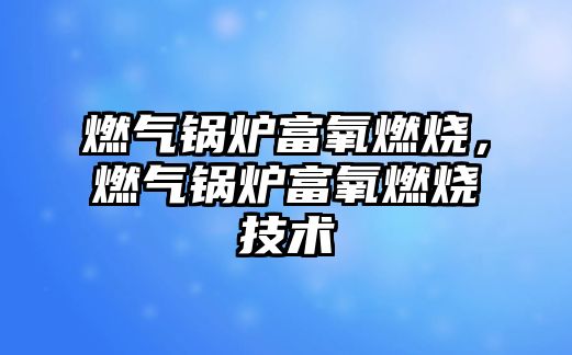 燃氣鍋爐富氧燃燒，燃氣鍋爐富氧燃燒技術