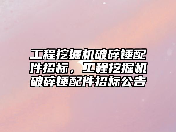 工程挖掘機破碎錘配件招標(biāo)，工程挖掘機破碎錘配件招標(biāo)公告