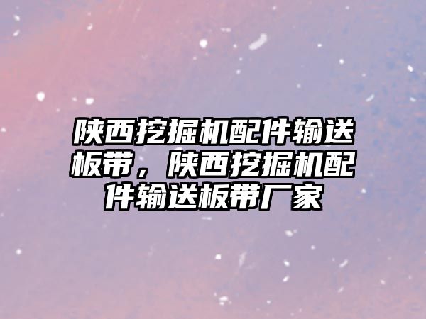 陜西挖掘機配件輸送板帶，陜西挖掘機配件輸送板帶廠家