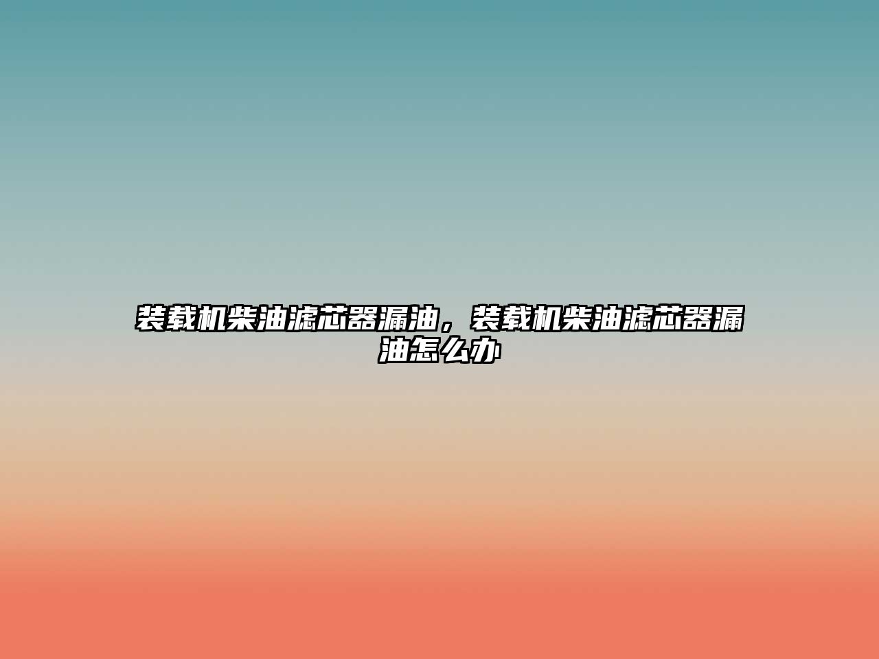 裝載機柴油濾芯器漏油，裝載機柴油濾芯器漏油怎么辦