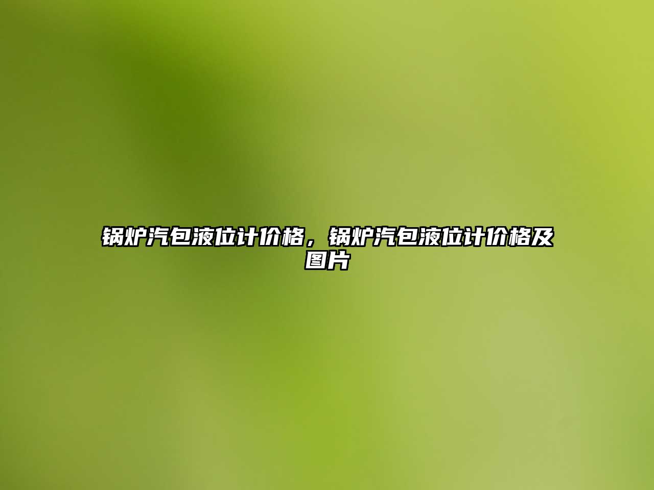 鍋爐汽包液位計(jì)價(jià)格，鍋爐汽包液位計(jì)價(jià)格及圖片