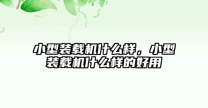 小型裝載機什么樣，小型裝載機什么樣的好用