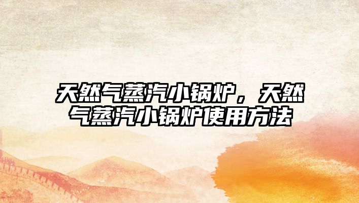 天然氣蒸汽小鍋爐，天然氣蒸汽小鍋爐使用方法