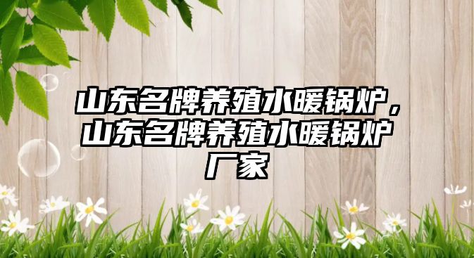 山東名牌養(yǎng)殖水暖鍋爐，山東名牌養(yǎng)殖水暖鍋爐廠家