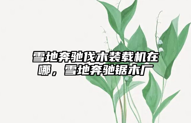 雪地奔馳伐木裝載機(jī)在哪，雪地奔馳鋸木廠