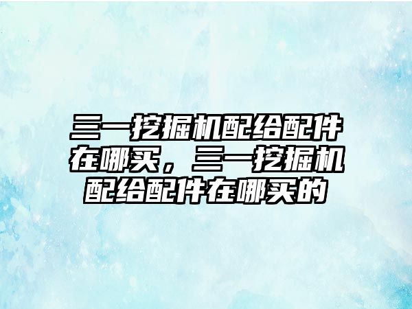 三一挖掘機(jī)配給配件在哪買，三一挖掘機(jī)配給配件在哪買的