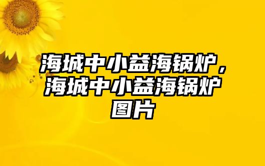 海城中小益海鍋爐，海城中小益海鍋爐圖片