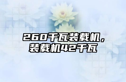260千瓦裝載機(jī)，裝載機(jī)42千瓦
