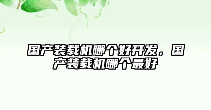國(guó)產(chǎn)裝載機(jī)哪個(gè)好開發(fā)，國(guó)產(chǎn)裝載機(jī)哪個(gè)最好