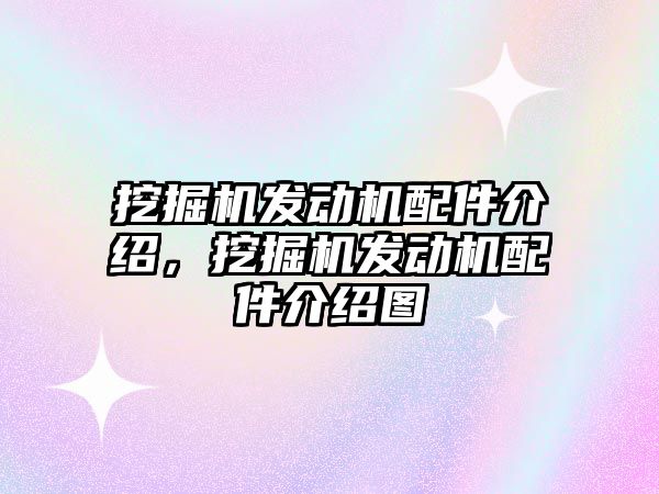 挖掘機發(fā)動機配件介紹，挖掘機發(fā)動機配件介紹圖