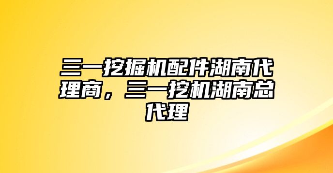 三一挖掘機配件湖南代理商，三一挖機湖南總代理