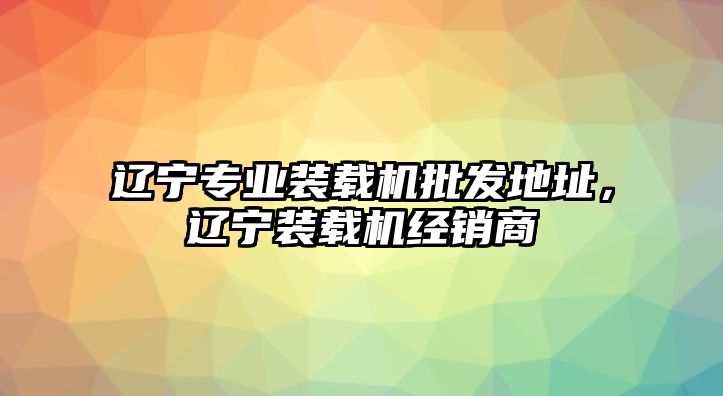 遼寧專業(yè)裝載機批發(fā)地址，遼寧裝載機經銷商