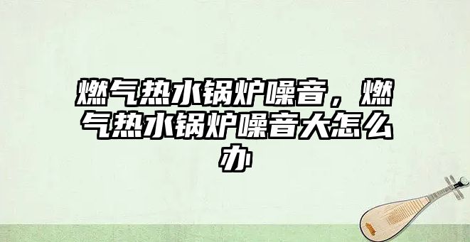 燃?xì)鉄崴仩t噪音，燃?xì)鉄崴仩t噪音大怎么辦