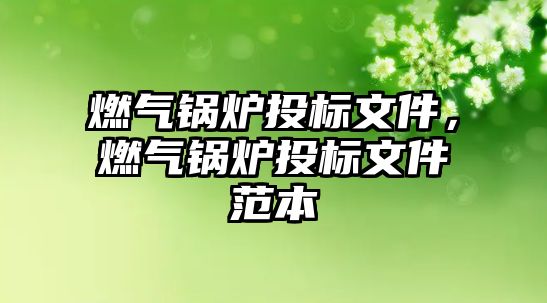 燃?xì)忮仩t投標(biāo)文件，燃?xì)忮仩t投標(biāo)文件范本