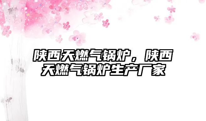 陜西天燃?xì)忮仩t，陜西天燃?xì)忮仩t生產(chǎn)廠家