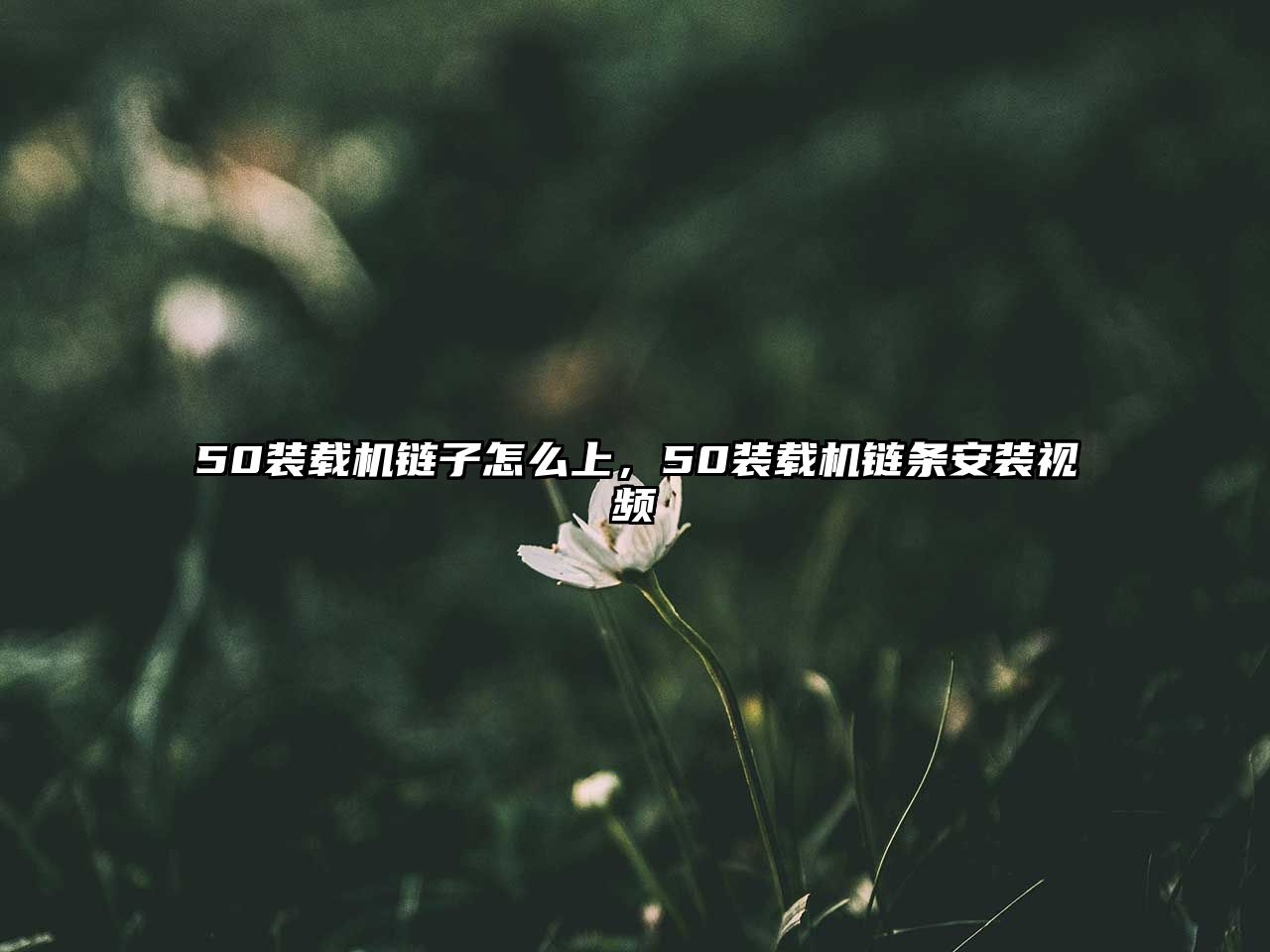 50裝載機(jī)鏈子怎么上，50裝載機(jī)鏈條安裝視頻