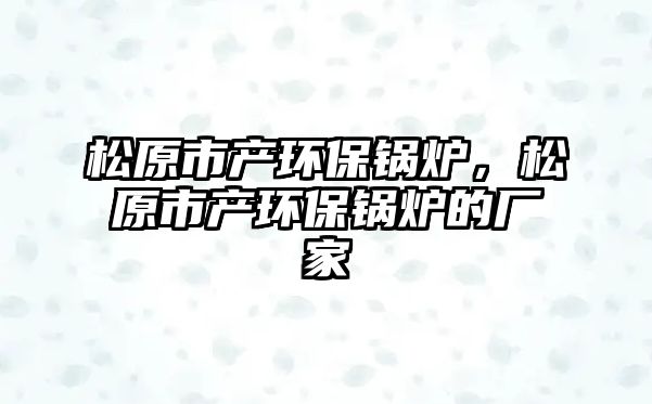 松原市產(chǎn)環(huán)保鍋爐，松原市產(chǎn)環(huán)保鍋爐的廠(chǎng)家