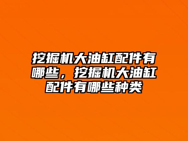 挖掘機(jī)大油缸配件有哪些，挖掘機(jī)大油缸配件有哪些種類