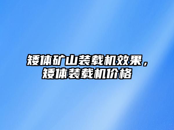 矮體礦山裝載機效果，矮體裝載機價格