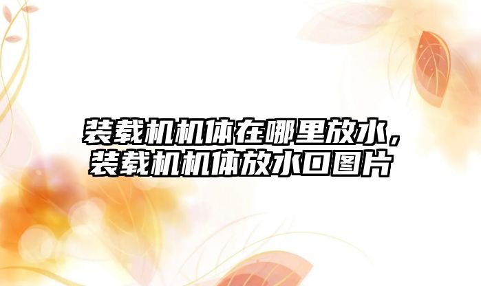 裝載機(jī)機(jī)體在哪里放水，裝載機(jī)機(jī)體放水口圖片