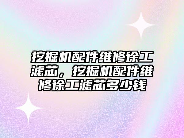 挖掘機(jī)配件維修徐工濾芯，挖掘機(jī)配件維修徐工濾芯多少錢
