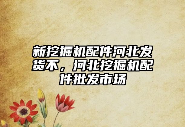 新挖掘機(jī)配件河北發(fā)貨不，河北挖掘機(jī)配件批發(fā)市場(chǎng)