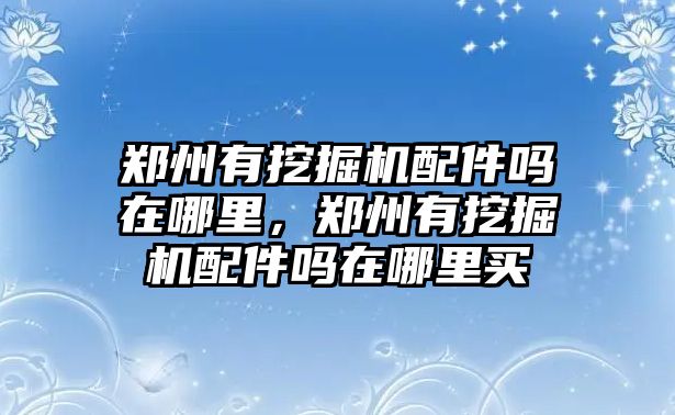 鄭州有挖掘機(jī)配件嗎在哪里，鄭州有挖掘機(jī)配件嗎在哪里買