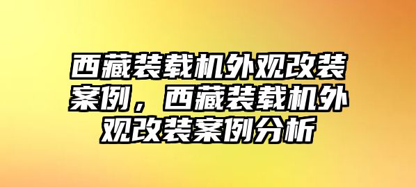 西藏裝載機外觀改裝案例，西藏裝載機外觀改裝案例分析