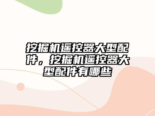 挖掘機(jī)遙控器大型配件，挖掘機(jī)遙控器大型配件有哪些