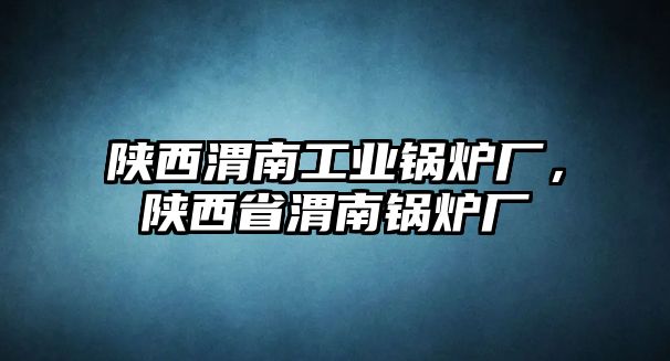陜西渭南工業(yè)鍋爐廠，陜西省渭南鍋爐廠