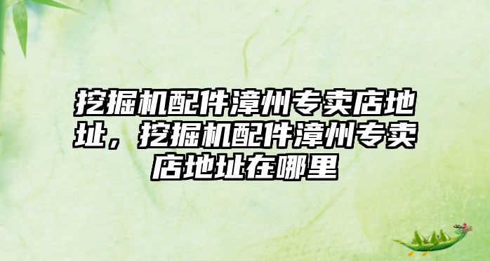 挖掘機(jī)配件漳州專賣店地址，挖掘機(jī)配件漳州專賣店地址在哪里