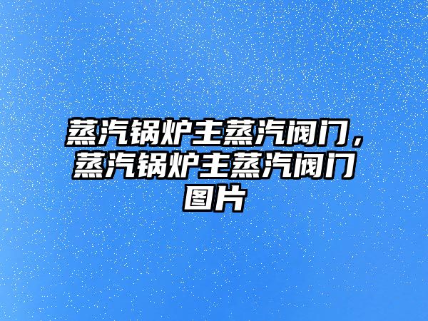 蒸汽鍋爐主蒸汽閥門，蒸汽鍋爐主蒸汽閥門圖片