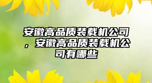 安徽高品質(zhì)裝載機公司，安徽高品質(zhì)裝載機公司有哪些
