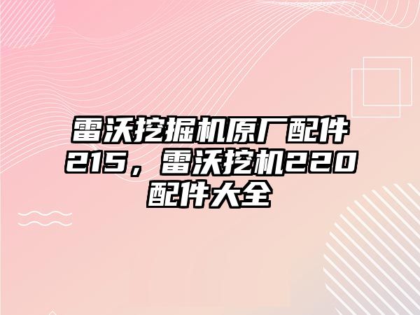 雷沃挖掘機(jī)原廠配件215，雷沃挖機(jī)220配件大全