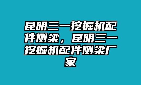 昆明三一挖掘機配件側(cè)梁，昆明三一挖掘機配件側(cè)梁廠家
