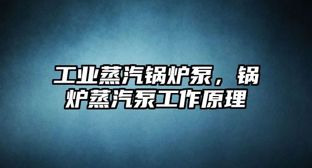 工業(yè)蒸汽鍋爐泵，鍋爐蒸汽泵工作原理
