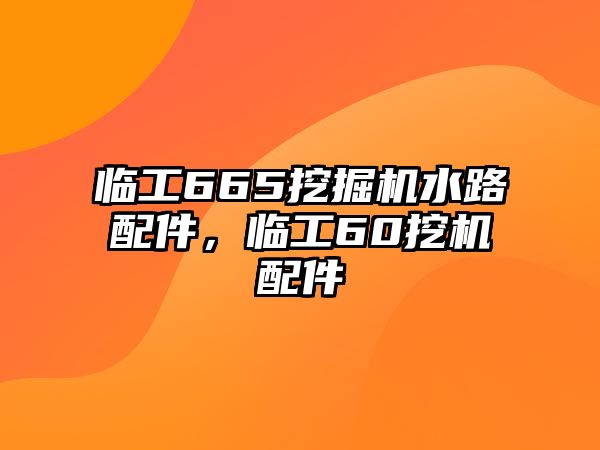 臨工665挖掘機(jī)水路配件，臨工60挖機(jī)配件
