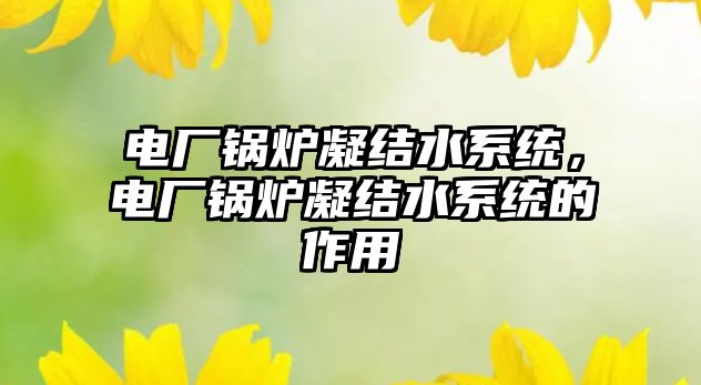 電廠鍋爐凝結(jié)水系統(tǒng)，電廠鍋爐凝結(jié)水系統(tǒng)的作用