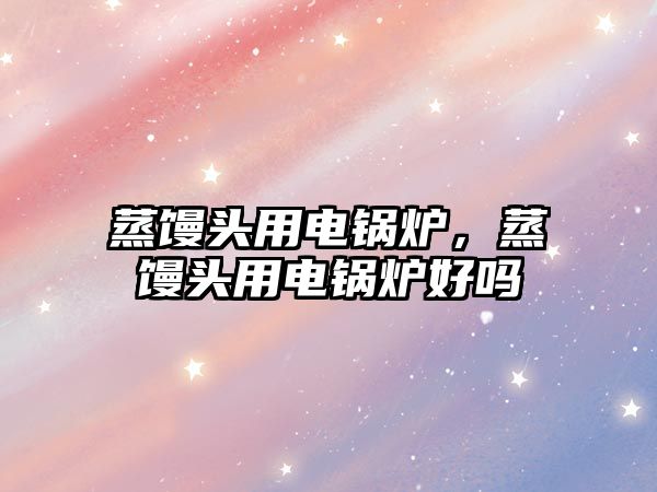 蒸饅頭用電鍋爐，蒸饅頭用電鍋爐好嗎