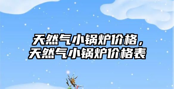天然氣小鍋爐價(jià)格，天然氣小鍋爐價(jià)格表