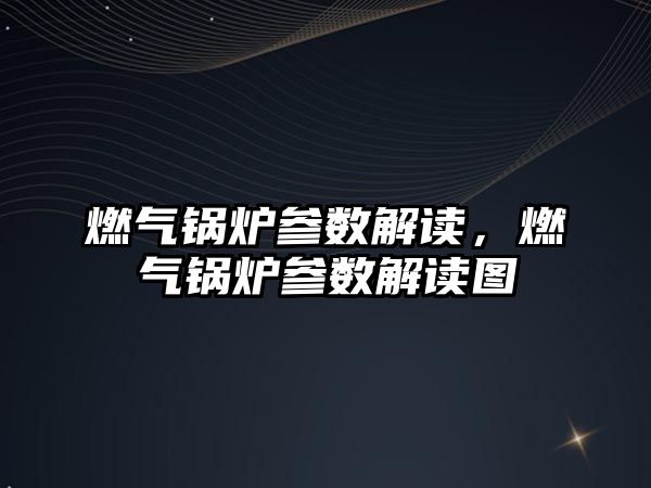 燃?xì)忮仩t參數(shù)解讀，燃?xì)忮仩t參數(shù)解讀圖