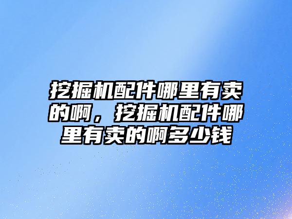 挖掘機(jī)配件哪里有賣(mài)的啊，挖掘機(jī)配件哪里有賣(mài)的啊多少錢(qián)