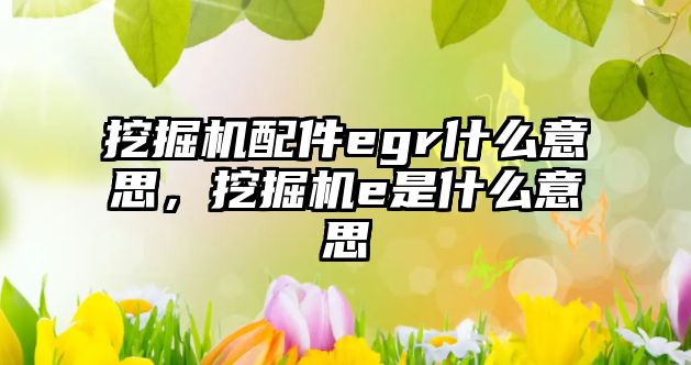挖掘機(jī)配件egr什么意思，挖掘機(jī)e是什么意思