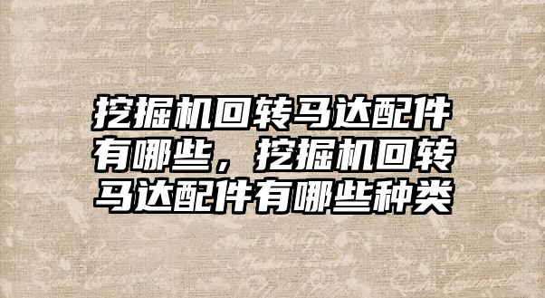 挖掘機回轉(zhuǎn)馬達配件有哪些，挖掘機回轉(zhuǎn)馬達配件有哪些種類