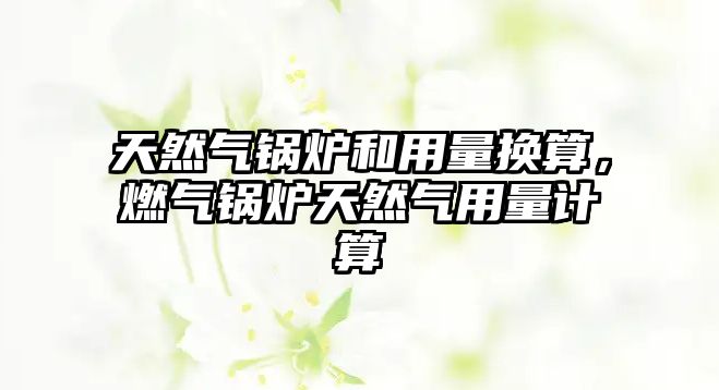天然氣鍋爐和用量換算，燃?xì)忮仩t天然氣用量計算