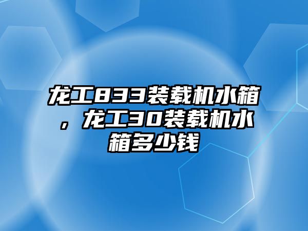 龍工833裝載機水箱，龍工30裝載機水箱多少錢