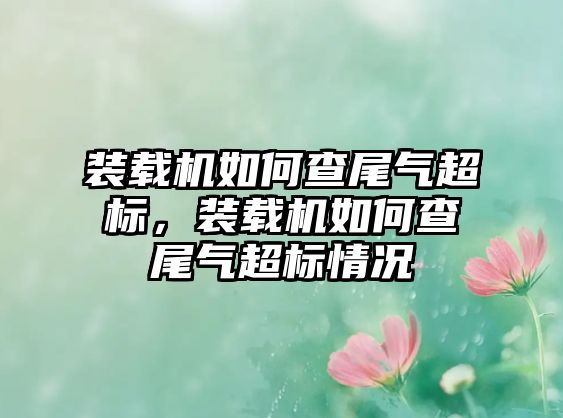 裝載機(jī)如何查尾氣超標(biāo)，裝載機(jī)如何查尾氣超標(biāo)情況