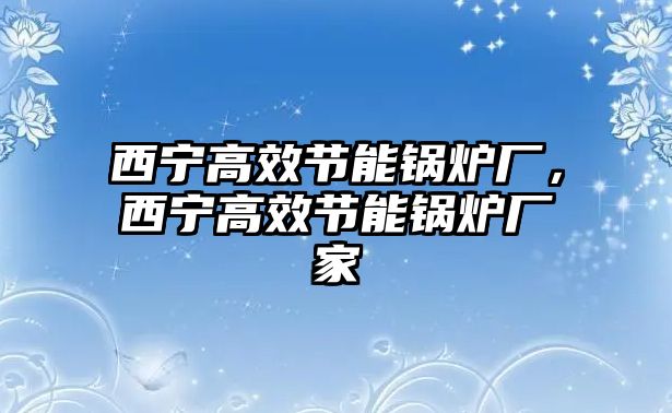 西寧高效節(jié)能鍋爐廠，西寧高效節(jié)能鍋爐廠家