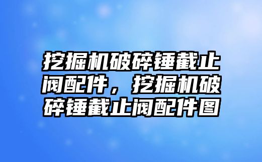 挖掘機(jī)破碎錘截止閥配件，挖掘機(jī)破碎錘截止閥配件圖