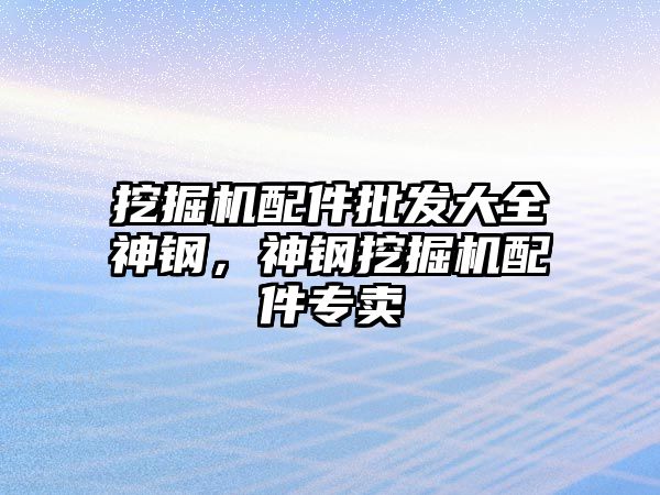 挖掘機配件批發(fā)大全神鋼，神鋼挖掘機配件專賣
